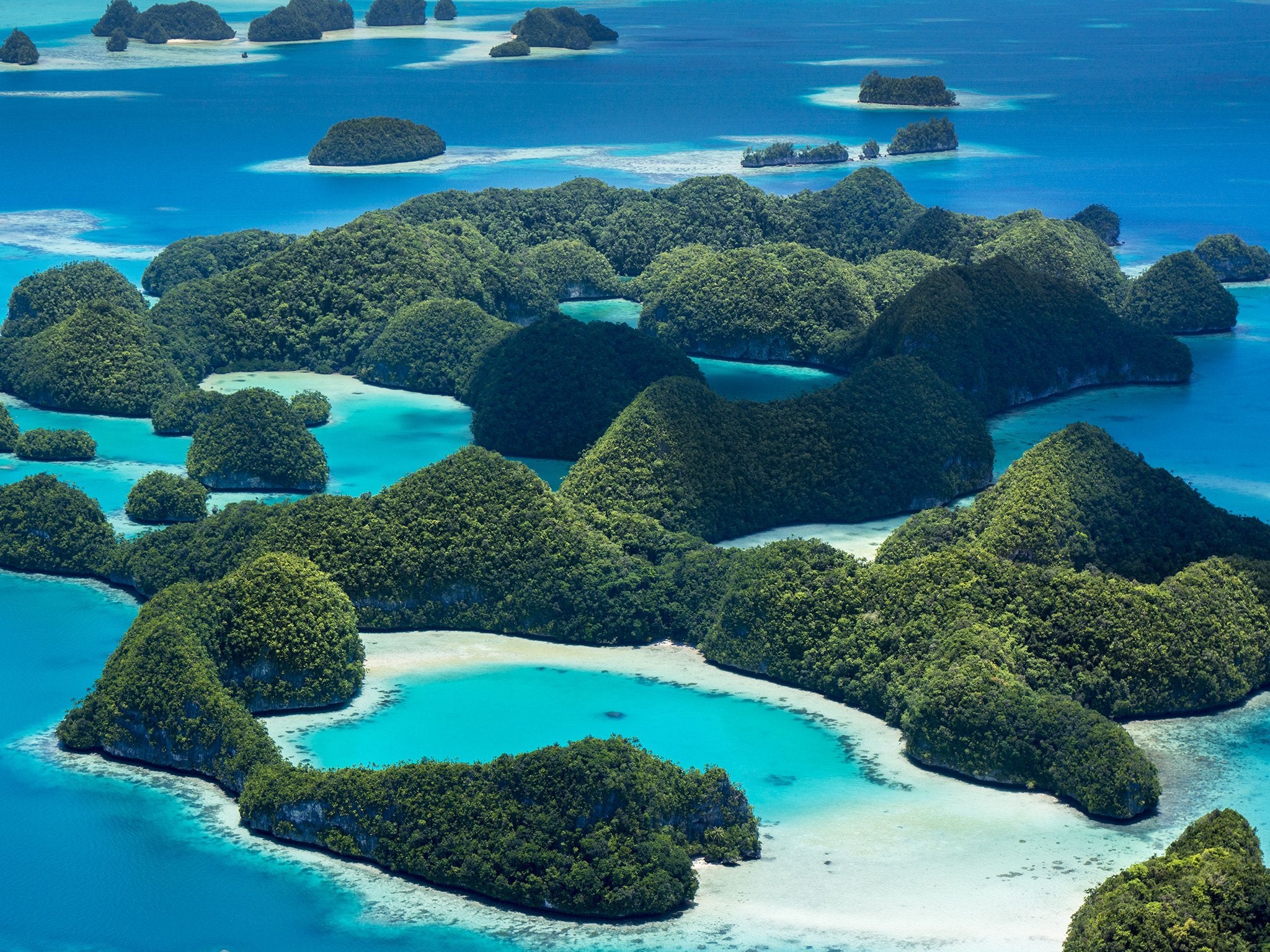 Palau steps up! The first country to ban chemical sunscreens toxic to Coral Reefs